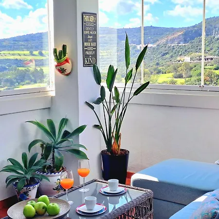 Noctua Valle Golf 015 *