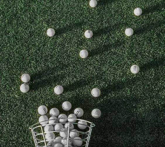 Noctua Valle Golf 015 * إِستيبونا